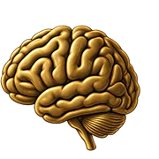 Cerveau doré symbolisant les bienfaits des anagrammes pour la réflexion et le vocabulaire